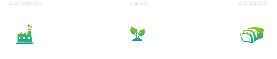 一個可以徹底解決問題的系統