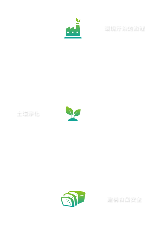 一個可以徹底解決問題的系統